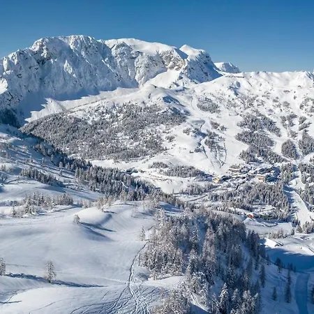 Mitsche Apartament *