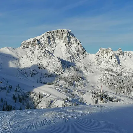 Mitsche شقة هيرماجور