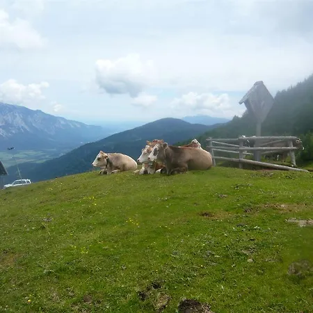 Mitsche هيرماجور